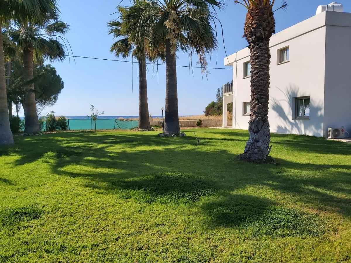 Argaka Palm Tree Apts 외부 사진