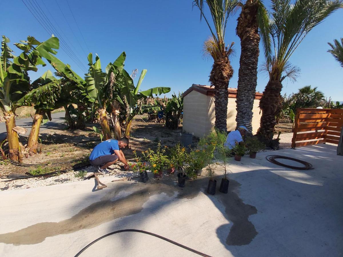 Argaka Palm Tree Apts 외부 사진
