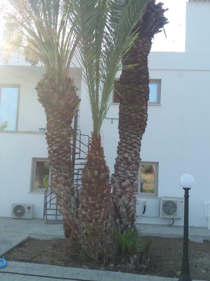 Argaka Palm Tree Apts 외부 사진